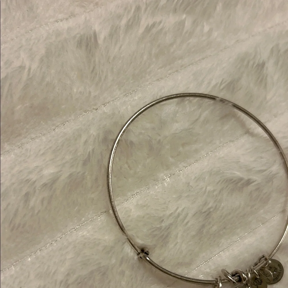 RARE Alex and Ani Walt Disney World Bracelet - Picture 7 of 13